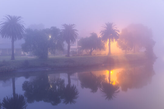 Foggy Sunrise over Maribyrnong River with palm trees and reflections