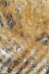 Concrete cement cracked wall texture for background                     
