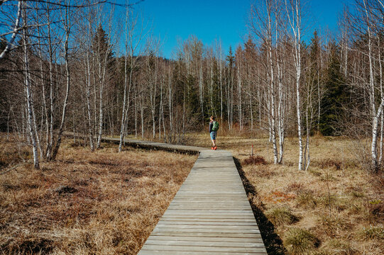 Man hike on a boardwalk through a high moor on a clear day