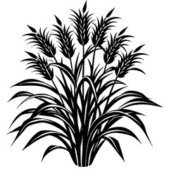 Green Napier grass vector