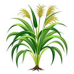 Green Napier grass vector