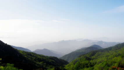 Obraz premium landscape with fog