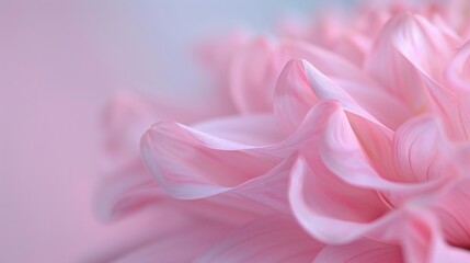Fototapeta premium Macro shot of dahlia bloom, soft-focus botanical garden backdrop, vibrant colors, evoke elegance, stunning and bold composition.