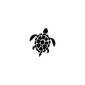 Sea turtle icon isolated on white background