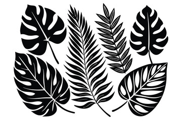 Fototapeta premium set of different tropical leaves vector illustration
