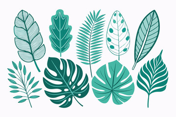 Fototapeta premium set of different tropical leaves vector illustration