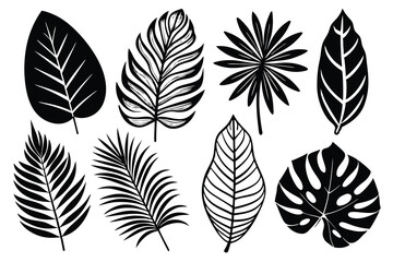 set of different tropical leaves vector illustration