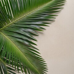 Fototapeta premium Top view of palm tree