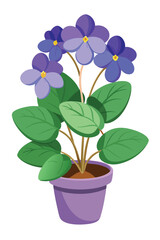 Naklejka premium A beautiful african violets plant vector illustration