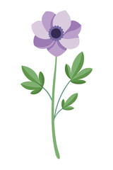 Anemone plant minimal design vector illustration