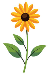 Fototapeta premium Black Eyed Susan plant minimal design vector illustration