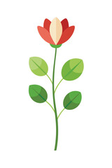 Bloodroot plant minimal design vector illustration