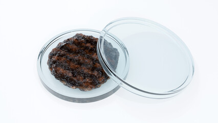 3d rendering of a round beef patty sits inside a petri dish, hinting at possible scientific analysis of meat products.