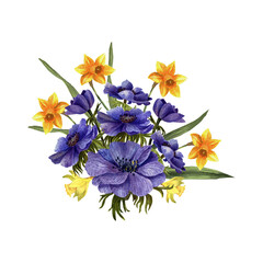Watercolor floral illustration . Floral composition from flowers anemones and daffodils