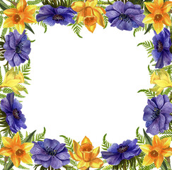 Beautiful square frame of daffodils and anemones. A watercolor flowers on a white background.