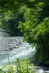 夏の秋川渓谷