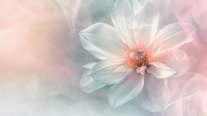 Obraz premium Close-up of a delicate flower petal, showcasing its intricate veins and soft texture