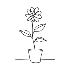 potted flower, line art vector illustration isolated on a white background 