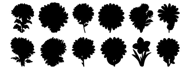 Flower silhouettes set, pack of vector silhouette design, isolated background