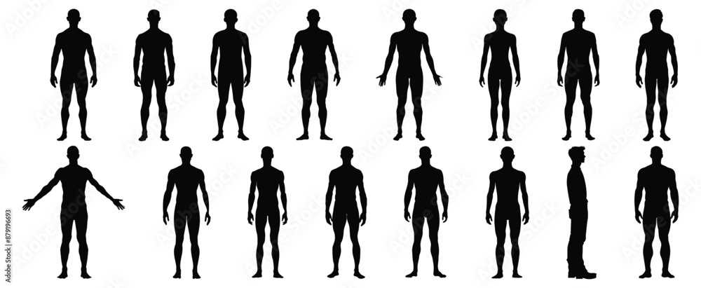 Wall mural human body silhouette set vector design big pack of illustration and icon