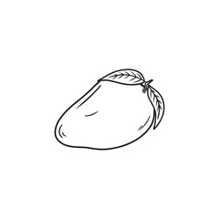 Ripe delicious sweet mango in black isolated on white background. Hand drawn vector sketch illustration in doodle engraved vintage line art style. Exotic tropical juicy fruit for sorbet, smoothie