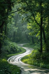 Obraz premium A winding road through a lush green forest. The road is surrounded by trees and the water is calm. The scene is peaceful and serene