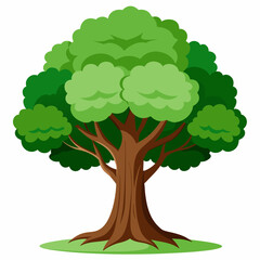 Cartoon tree with green leaves on white background