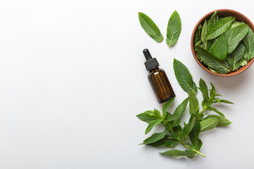 Natural Mint Essential Oil in a Glass Bottle. organic cosmetics with herbal extracts of mint on colored background