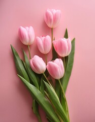 Naklejka premium Pink Tulips on Pink Background - Beautiful Flowers for Spring - Colored Tullips - Background for Mother's Day, Woman's Day, Valentine's Day or Birthday - Space for Copy or Text