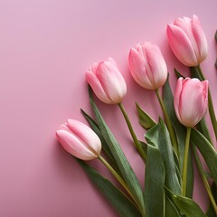 Fototapeta premium Pink Tulips on Pink Background - Beautiful Flowers for Spring - Colored Tullips - Background for Mother's Day, Woman's Day, Valentine's Day or Birthday - Space for Copy or Text