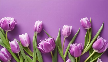 Fototapeta premium Orange Tullips on Orange Background - Beautiful Flowers for Spring - Colored Tullips - Background for Mother's Day, Woman's Day, Valentine's Day or Birthday - Space for Copy or Text