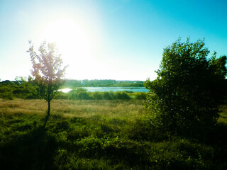 Landscape of meadow and pond in background.