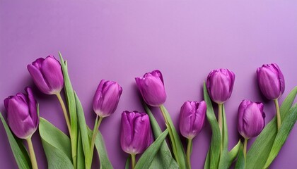 Fototapeta premium Orange Tullips on Orange Background - Beautiful Flowers for Spring - Colored Tullips - Background for Mother's Day, Woman's Day, Valentine's Day or Birthday - Space for Copy or Text