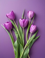 Orange Tullips on Orange Background - Beautiful Flowers for Spring - Colored Tullips - Background for Mother's Day, Woman's Day, Valentine's Day or Birthday - Space for Copy or Text