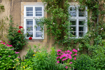 Hausfassade mit zwei Fenstern