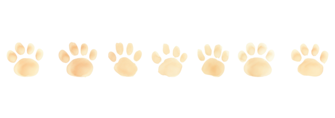PNG Dog paws as divider line watercolour illustration white background carnivora panoramic.