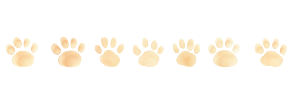 PNG Dog paws as divider line watercolour illustration white background carnivora panoramic. - Powered by Adobe