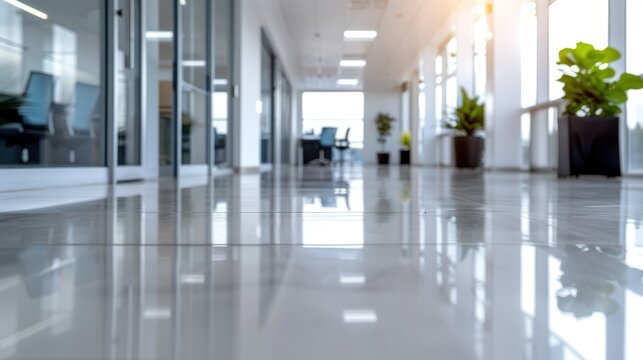 An expansive, well-lit office corridor with floor-to-ceiling windows allowing natural light to flood in. The modern and clean design offers a welcoming work environment.
