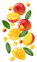 flying mango with slices and green leaves isolated on white background. clipping path