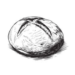 Sourdough bread illustration, hand drawn ink drawing of loaf of sourdough isolated on white background, vector illustrations