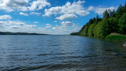 a tranquil lakeside setting under a clear sky with scattered clouds, featuring a rippled lake surface, a lush forest to the right, and a distant treeline across the lake