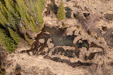 Aerial View of a Springtime Forest Stream and Chuzu  Marsh, Latvia