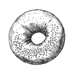 Bagel illustration, hand drawn ink drawing isolated on white background, vector illustrations