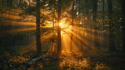 Naklejka premium Glowing sunset casting warm light on mountains