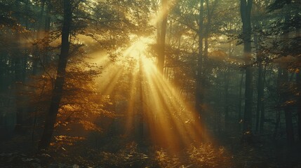 Glowing sunset casting warm light on mountains