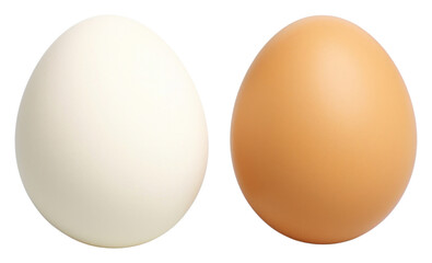 PNG Food egg simplicity fragility.