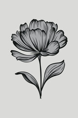 Floral Flower Vector lineart illustration