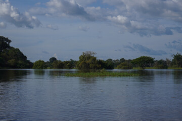 Amazon Rainforest.