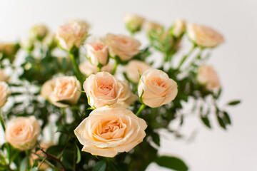 A bouquet of delicate cream roses close up, home decoration with flowers, a festive bouquet of roses for a birthday or wedding