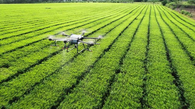 Drone DJI AGRAS T30 flight over a green field spraying water or herbicides following behind shot